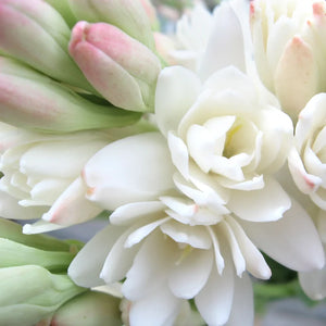Tuberose